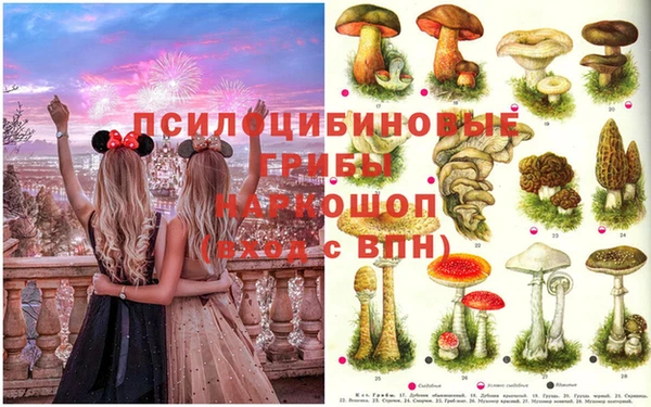 прущие крисы Вязники
