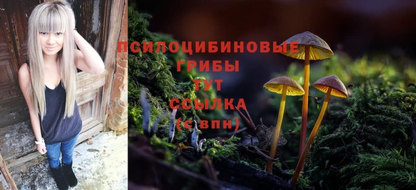 2c-b Вязьма