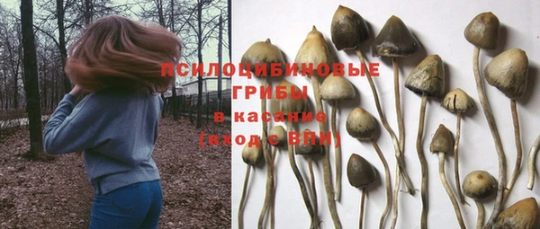 кокс Вяземский