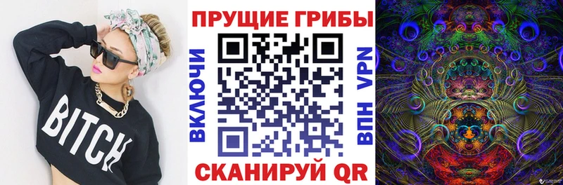 Купить  Мончегорск  Галлюциногенные грибы Psilocybine cubensis 